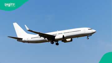 What FCCPC investigation uncovered about airline ticket prices last Christmas