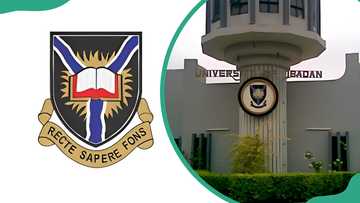 University of Ibadan (UI) distance learning courses: Online education