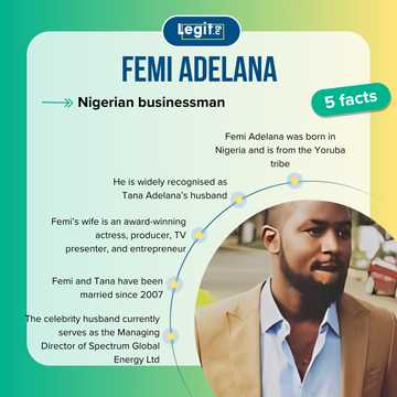 Who is Femi Adelana? A Look at Tana Adelana’s Husband Beyond the Spotlight