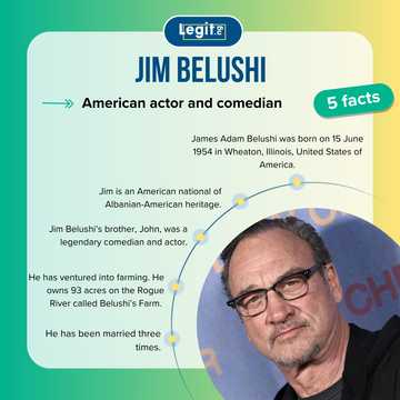Jim Belushi's net worth (2026): His background and earnings from actor to farmer