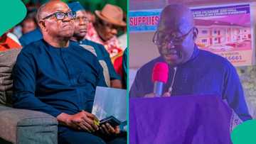 2027 election: Did Goodluck Jonathan back Peter Obi? What we know