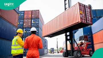 "We wish to notify": CBN grants temporary permission for importers