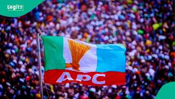 2027 election: Full breakdown of presidential candidates by party