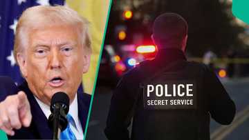 Job of $75, 000: US begins secret service recruitment, application link emerges