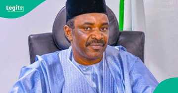 Transport Minister Reacts Over Borno Bomb Blast: “This is Barbaric”