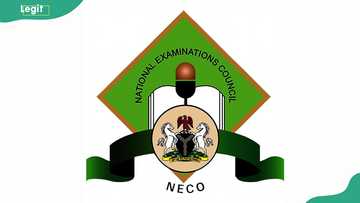 Can I check NECO result without scratch card? All options explored