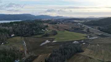 Beetles block mining of Europe's biggest rare earths deposit