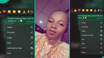 "Forgive Me": Lady Begs Her Ex-Boyfriend in Viral Prank, Gets Emotional