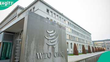 WTO announces 2026 model conference, invites Nigerians, others to apply