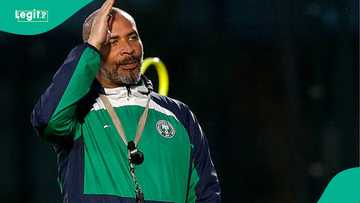 Eric Chelle can make Super Eagles world class, ex-Nigeria coach explains