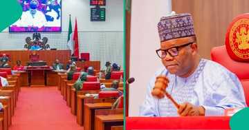 Breaking: Senate adopts electronic, manual transmission of election results