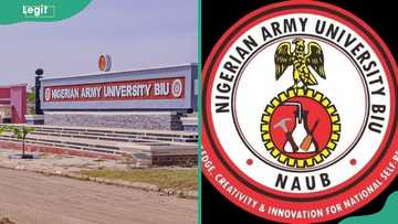 Nigeria Army University courses, school fees and cut-off mark - Legit.ng