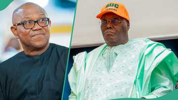 2027: Internal rift hits ADC as Obidients make demand