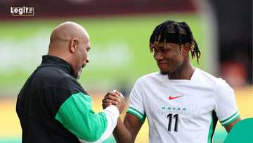 How Bassey, Chukwueze, Iwobi believe Super Eagles can win AFCON 2025, video