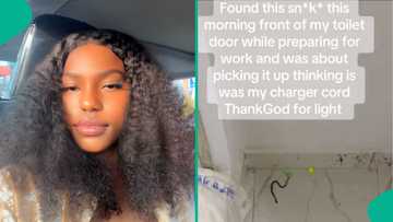Lady shares what she saw in front of toilet door thinking it's her charger cord