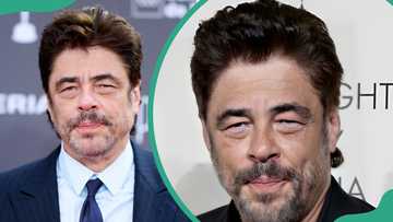 Who is Benicio Del Toro's wife or girlfriend? His relationship history