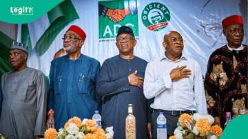 2027: Internal rift hits ADC as Obidients make demand