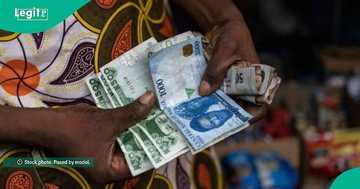 New tax law: Lady posts unusual narration vendor asked her to put while paying