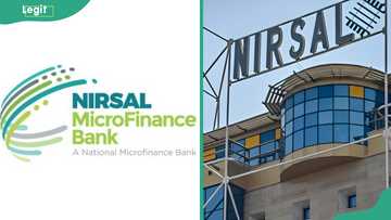How to check NIRSAL loan with BVN: A step-by-step guide to checking ...