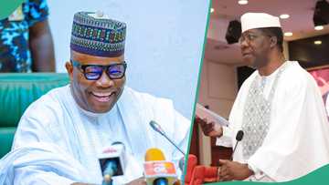 Senate schedules establishment of state police for this week