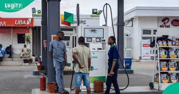 "That is how the market works": Petrol price could increase by another N200