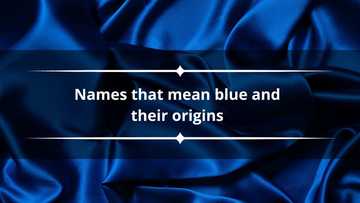 Blue First Name Blue names: 30 names that mean blue and their origins - Legit.ng