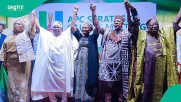APC picks Kudirat Adegunwa-Balogun as Ogun deputy governorship candidate