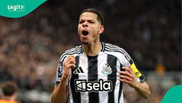 Super Eagles get major lift as Newcastle forward turns down Denmark call-up