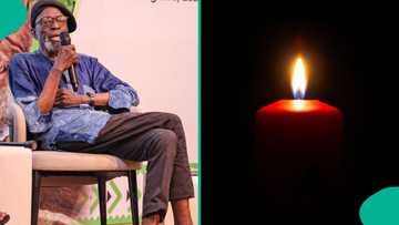 Renowned scholar, ASUU second chairman, Biodun Jeyifo, dies