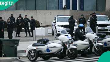 Job of $75, 000: US begins secret service recruitment, application link emerges