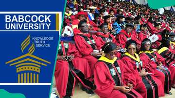 Top 50 best universities in Nigeria as of 2026: NUC university ranking ...