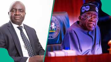 Economist raises serious concern as NBS announces drop in food inflation