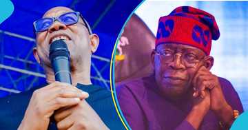 Peter Obi reacts as court overturns judgment recognising NDC as political party