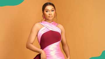 Who is Femi Adelana? A Look at Tana Adelana’s Husband Beyond the Spotlight