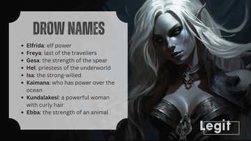 Drow Names: Interesting Ideas On Naming A Dark Elf Dnd Character - Legit.ng