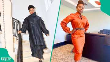Chimamanda Adichie's husband breaks silence on son's death, makes fresh claims