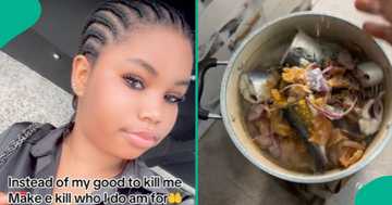 "If e reach your turn, fight the girl": Lady joins boyfriend's sidechick to cook