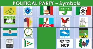 Types of political parties in Nigeria and their functions - Legit.ng