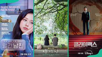 What K-drama is coming out in March 2026? Here are the most anticipated titles
