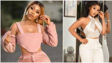 Big money spender: BBNaija Mercy shows off N1.8m invoice for birthday outfit ahead of her big day
