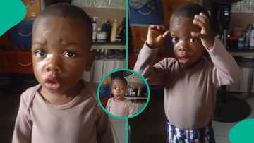 2-year-old Nigerian boy who recited Psalm 91 with amazing memory goes viral, many react