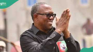 Fitaccen Malamin Addini Ya Fadi Yadda Hukuncin Kotu Zai Kaya Tsakanin Peter Obi Da Tinubu