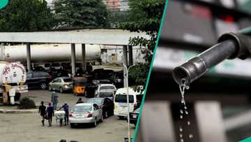 New petrol prices emerge at depots after Dangote stops sales to unregistered marketers