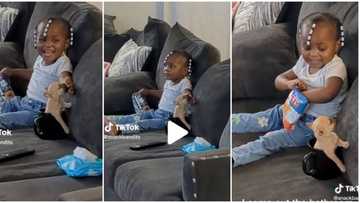 "Just licking the flavour": Concerned dad shouts after catching his little daughter on sofa with a puppy