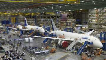 787 Dreamliner is Boeing's flagship long-distance plane