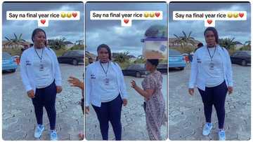"Na my Ex mama be that": Nigerian final year student chased by rice seller goes viral on TikTok