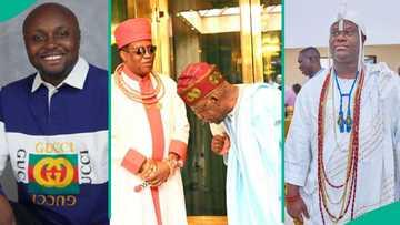 Isreal DMW compares Pres. Tinubu's posture with Oba of Benin and Ooni of Ife, pics trigger reactions