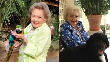 Hollywood actress Betty White preferred to die in California home she built with her late husband