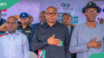 Ondo Governorship Poll: Labour promised N120k minimum wage, details emerge