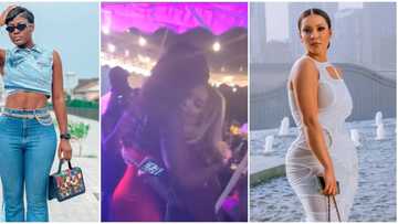 It's all love: Reactions as BBNaija's Maria meets senior colleague Alex days after saying she doesn't know her